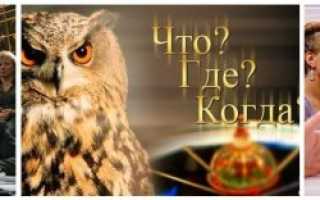 Конкурсы для свадьбы жениху и невесте: идеи прикольных и веселых испытаний