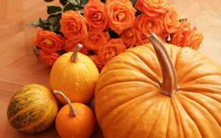 Смузи из тыквы: польза и вред, 11 рецептов для похудения