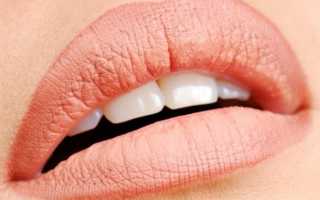 Макияж губ — самые красивые образы и модные тенденции 2021 года (135 фото + видео)