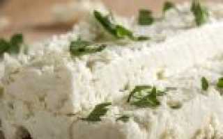 Рецепты приготовления домашнего сыра из козьего молока