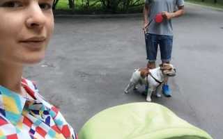 Константин Белошапка – биография актера, фото, личная жизнь, жена и дети, рост и вес 2021