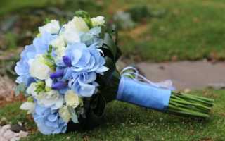 Свадебный букет из пионов и гортензий: как составить шикарную композицию
