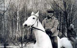 Сергей Лавров: «Санкциями и угрозами Россию не испугаешь»